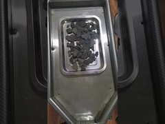 Polígono multiflorado en polvo