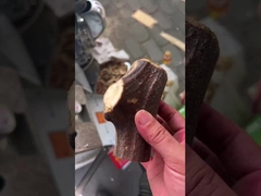 Las hierbas medicinales cortadas